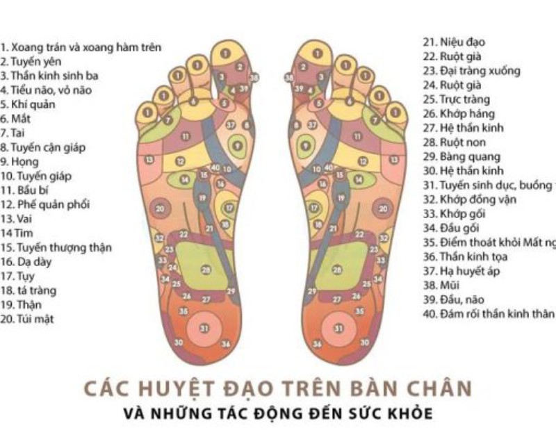 sơ đồ huyệt đạo bàn chân