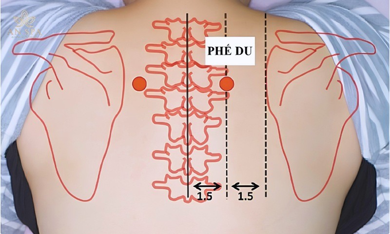 các huyệt đạo massage lưng
