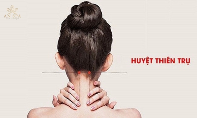 hình ảnh minh họa huyệt thiên trụ