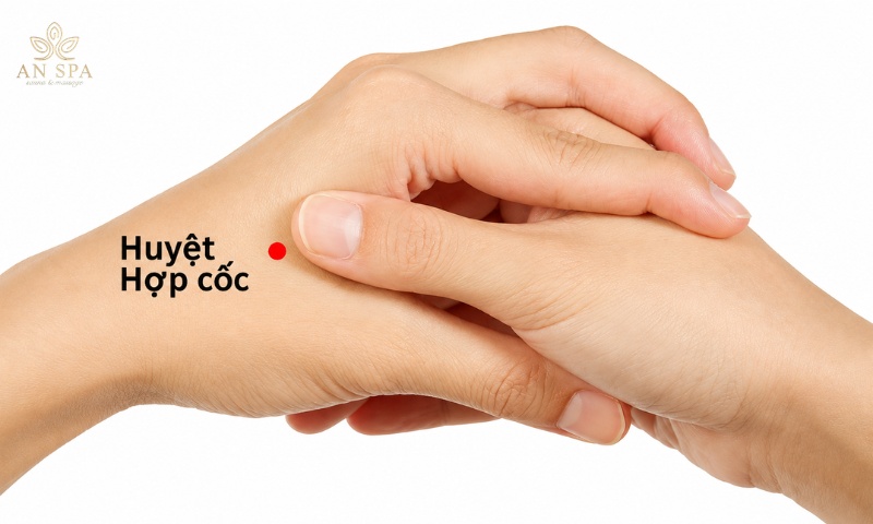 huyệt hợp cốc nằm ở khe giữa ngón cái và ngón trỏ