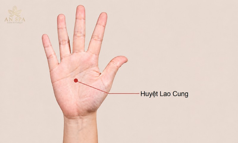 huyệt lao cung nằm ở giữa lòng bàn tay