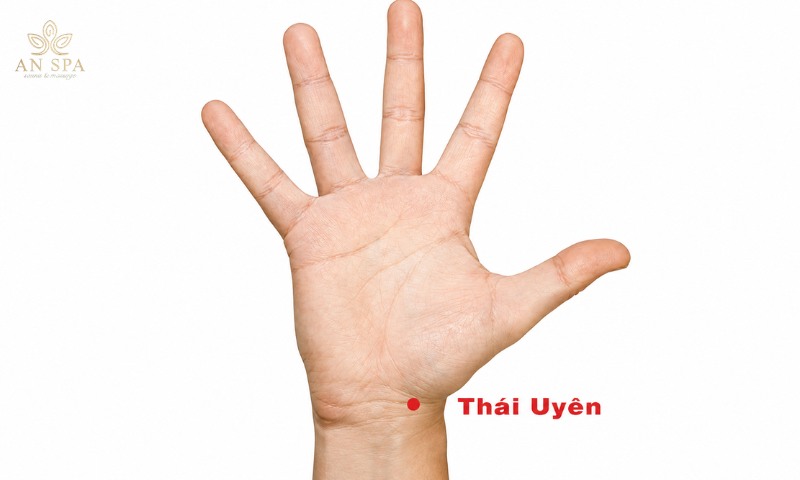 huyệt thái uyên nằm gần nếp gấp cổ tay phía ngón cái