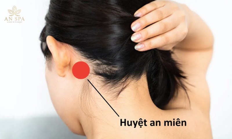 minh họa vị trí huyệt an miên