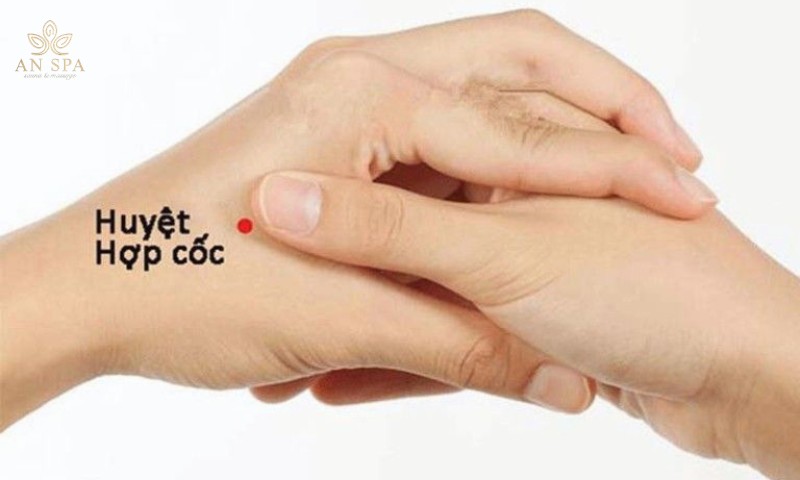 minh họa vị trí huyệt hợp cốc trên bàn tay