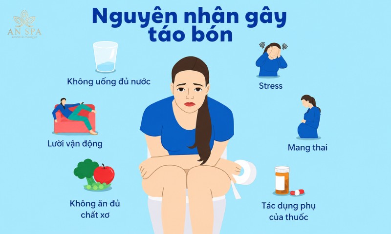 nguyên nhân phổ biến gây táo bón