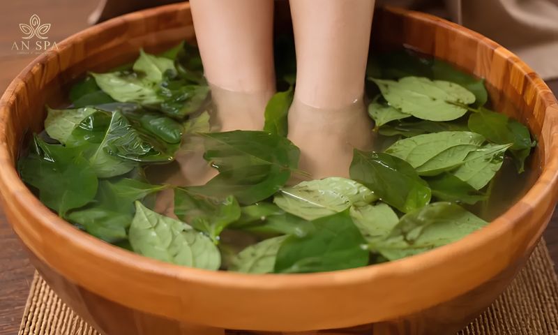 lá lốt dùng để ngâm chân