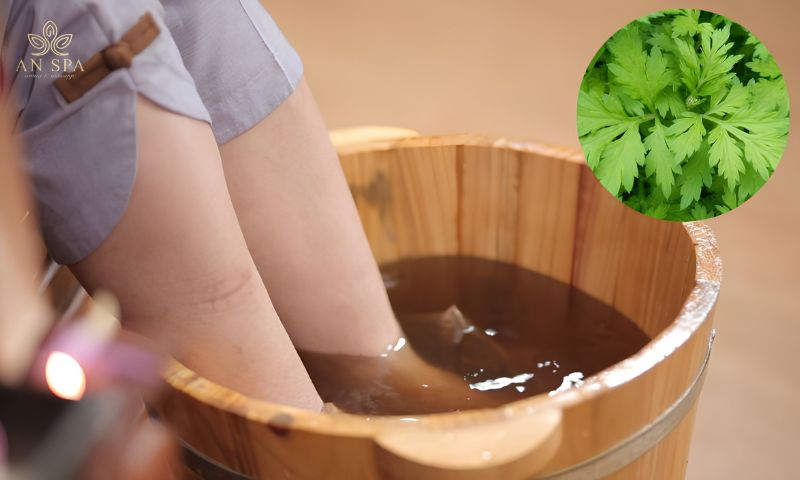ngải cứu là một loại thảo mộc ngâm chân tốt