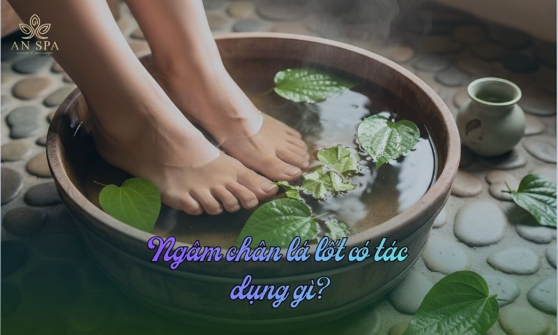 ngâm chân lá lốt có tác dụng gì